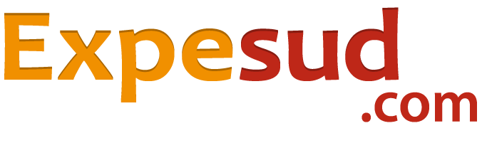 Expesud demenagement antilles