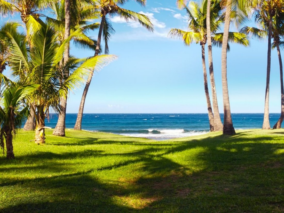 Lîle-de-la-Réunion.jpg